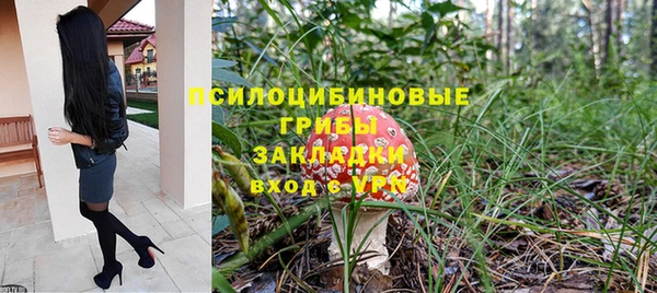 mix Белокуриха