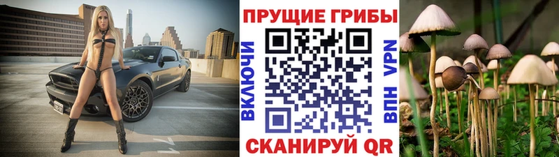 гидра вход  Невьянск  Галлюциногенные грибы ЛСД 